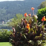 Haus Thon Apartmán