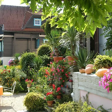 Haus Thon *