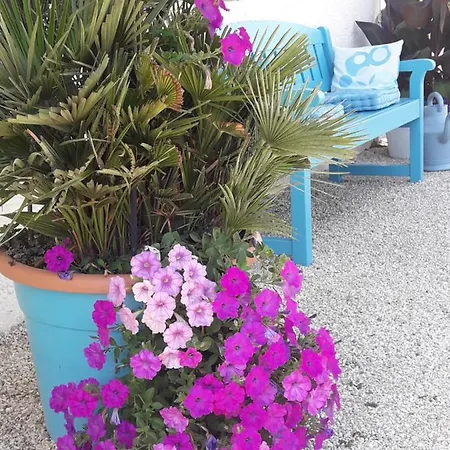 公寓 豪斯顿公寓 *