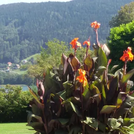 Haus Thon Apartamento
