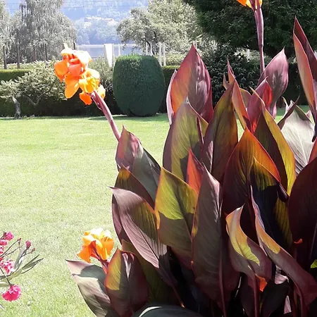 豪斯顿公寓 博登斯多夫